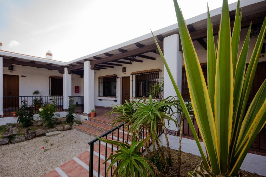 Appartement Hacienda Puerto Conil à Conil De La Frontera Extérieur photo